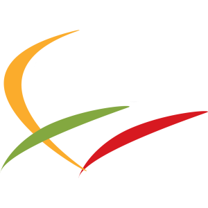 Direção Geral da Educação